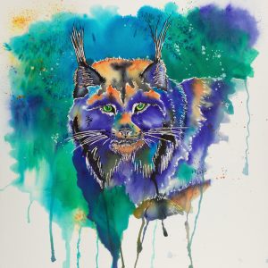 Here Kitty Kitty